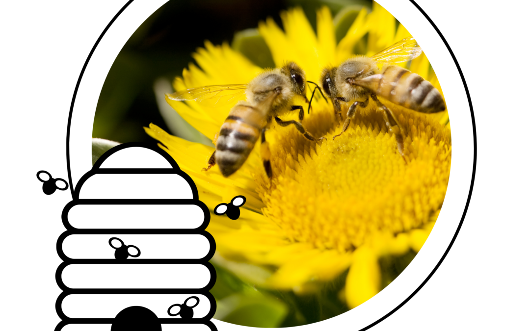 ETP Connect n°26 – Septembre/Octobre 2026 : 🐝Ça s’affaire dans la ruche de l&rsquo;ETP !